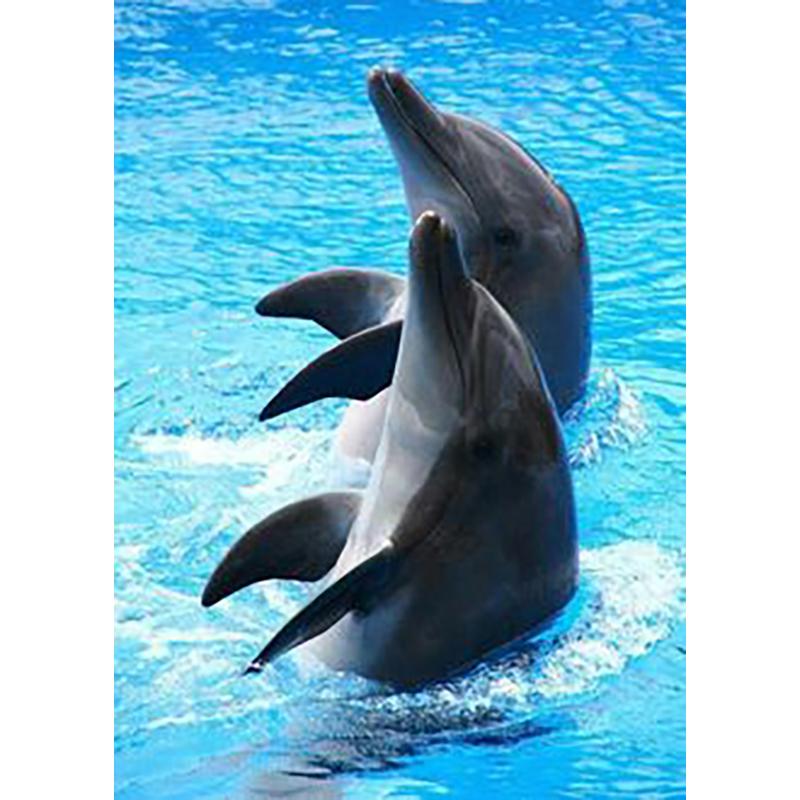 Diy Дельфин 5D алмазная живопись полная круглая дрель животное Алмазная вышивка мозаика комплект для вышивки крестом настенное искусство домашний декор подарок