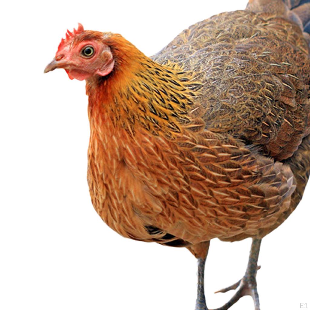 Декоративный колышек для курятника, статуя животного, колышки, подарки, патио, реалистичное искусство для двора