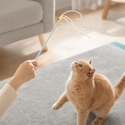 Кошки – Игрушки для кошек