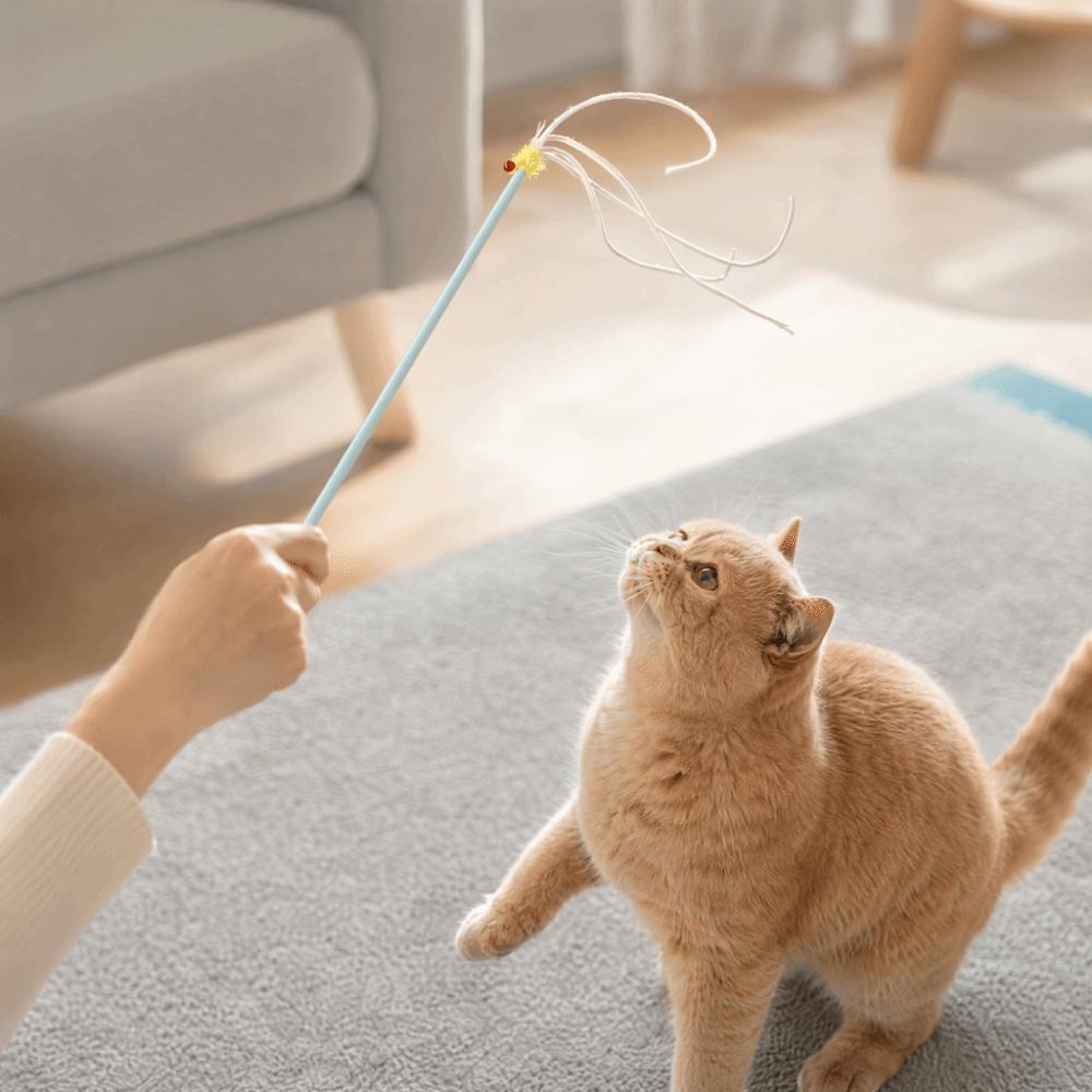 Durable Kitten Stick Toy Chew-resistant Cat Teaser Toy Fun Cat Teaser Wand Cat Enrichment