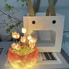 Multi-style Handmade Tulip Night Lght Handmade DIY Bag Creative Desktop Ambiance Light Decoration Girl's Valentine's Day Gift