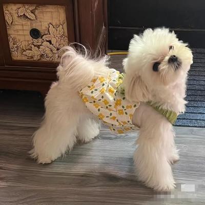Платье Pet Flower Pumpkin Group Dog с бантом на ремне, летнее, милое платье принцессы в горошек, платье для щенка, кошки, собаки, одежда для маленьких собак