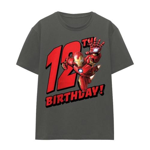 Iron Man Womens/Ladies 12th Birthday T-Shirt