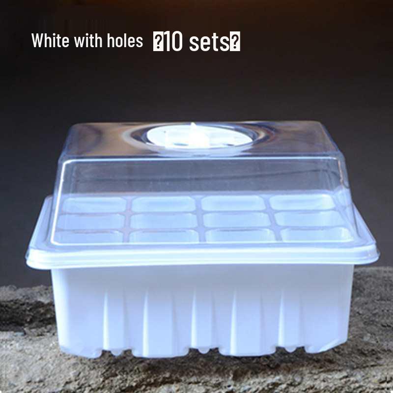 Three-Piece Succulent Seedling Tray Set: 12-Hole Plastic Box with Lid for Moisture and Temperature Control