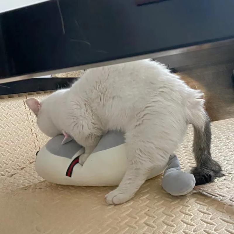 Креативная Забавная Игрушка для Кота в Период Течки Милая Интерактивная Имитация Спаривания Самоудовлетворение Высокий Секс Спящие Домашние Животные Компаньон Коты Кукла Облегчение и Расслабление Товары для Домашних Животных Принадлежности