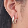 Fashion Jewellery Healthy Stimulation Acupoint Gallstone Earrings Weight Loss Hoop Slimming Earring