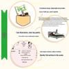 79 Stretching Exercises Pocket Guide
