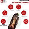 Медовые палочки CheongKwanJang Ginseng, Hong Sam Jin Go Daily, жидкий экстракт корейского красного женьшеня, натуральная энергия - 30 шт.