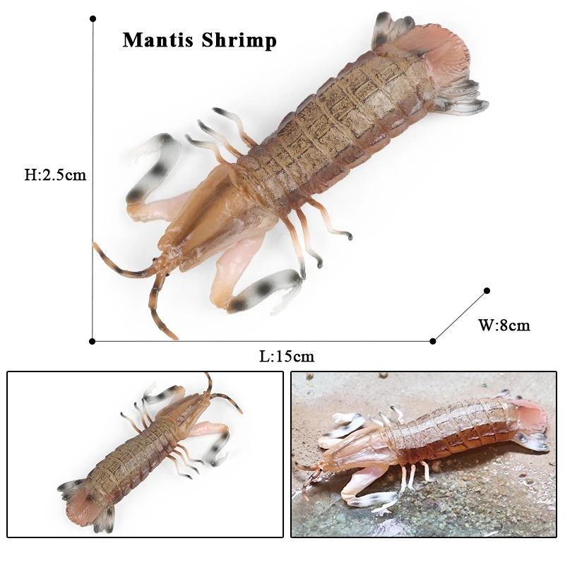 Oenux Морская звезда Океана Морской анемон Коралл Медуза Кальмар Креветка Краб Акула Животные Модель Фигурки ПВХ Миниатюра Детская Игрушка Подарок