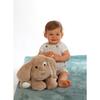Peluche - Les Amis Floppy Chien - 30 Cm