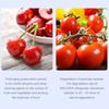 Дезодоратор для холодильника Xiaomi Eraclean
