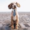 2 Pcs Pet Cat Dog Bow Tie,cat Collar Bow Tie, Adjustable Bowtie For Puppy, Dog Necktie,costumes For Dogs, 30cm/11.8in,black+blue - DD