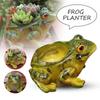 Breathable Frog Succulent Plant Pots Resin Plant Planter Art Potted Plants Frog Flower Pot  Garden