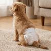 10PCS Super Absorption Dog Physiological Pants Adjustable Disposable Diapers  Dog Travel