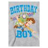 Toy Story Childrens/Kids Birthday Boy Woody & Buzz Lightyear Heather Hoodie