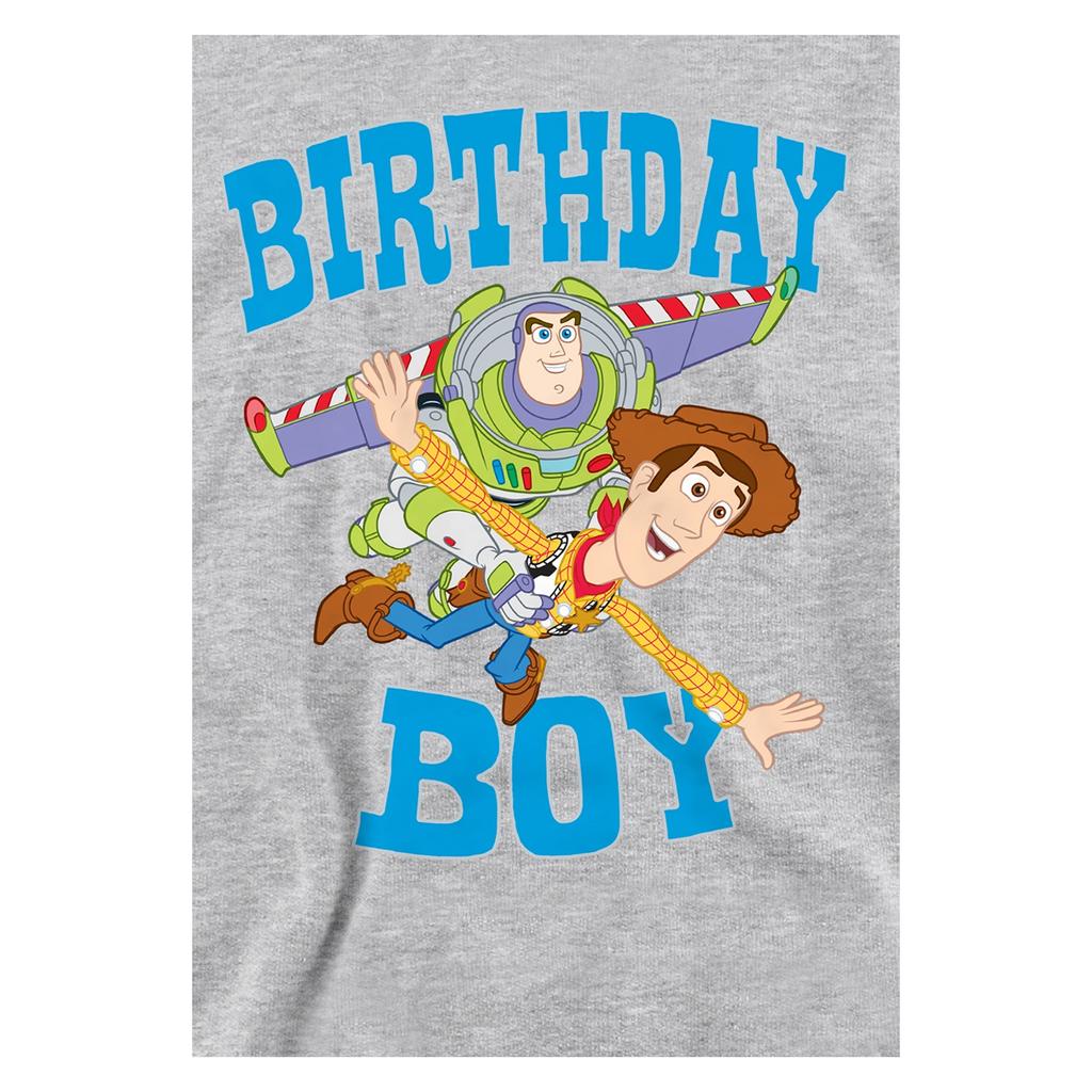 Toy Story Childrens/Kids Birthday Boy Woody & Buzz Lightyear Heather Hoodie