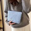Portable Zipper Makeup Bag Large Capacity Solid Color Clutches Bag Storage Bag Travel