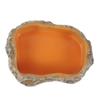 Resin Reptile Feeder Climbable Amphibian Feeding Bowl Tortoise Water Dish  Tortoise