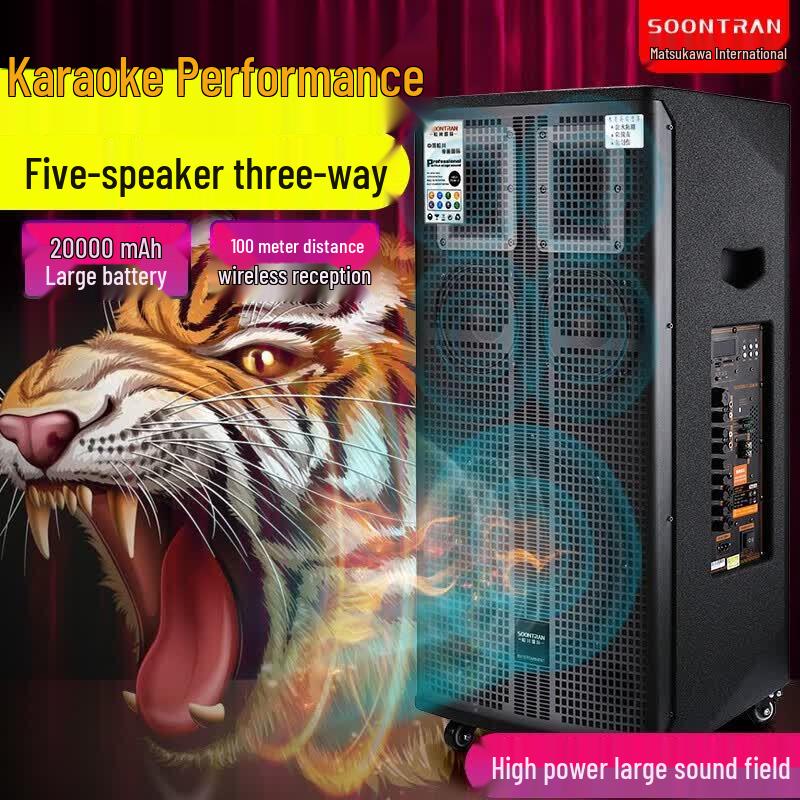 Songchuan SG30 Kunpeng Series 10-inch Karaoke Trolley Speaker (CN version)