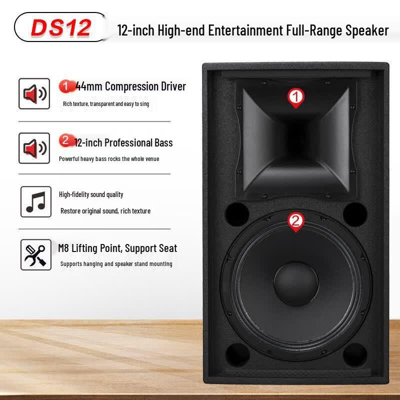 HiVi DS12 12-inch 2.1 Channel Home KTV Audio System (CN version)