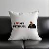 1pc Mr Worldwide Pitbull Pillow Case Fashion Square Pillowcase Bedroom Sofa Room Ins Decoration Leisure