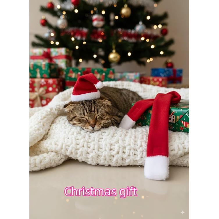Рождественский костюм для кошки Шапка Санты с шарфом и для маленьких собак - Забавная нарядная шапка и шарф Санты для праздничных фото, переодеваний и вечеринок Регулируемый для кошек