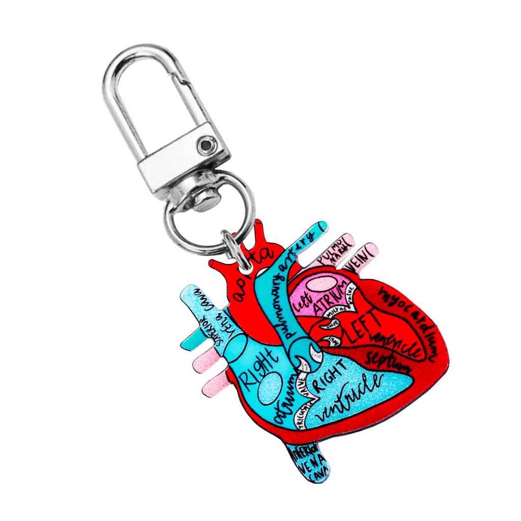 Human Heart Diagram Keychain Detailed Heart Keychain Accessory for Teaching Anatomy To Adults and Children
