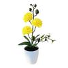 Home Decor Accent Small Chrysanthemum Realistic Design No Water Needed No Sunlight Required Year-Round Fresh Look