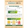 AGF Blendy My Bottle Stick Good Things Every Day Green Tea 6 sticks boxes teapowderfunctional food