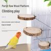 Parrot Fruit Wood Perch Stand for Budgie & Cockatiel - Original Wood Rest Platform Springboard