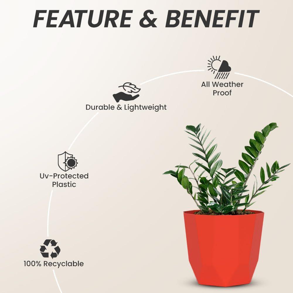 Гекса 6 дюймов Упаковка из 6 штук Пластиковый цветочный горшок для домашнего декора Комнатные цветочные горшки для гостиной Пластиковый цветочный горшок для сада (красный)