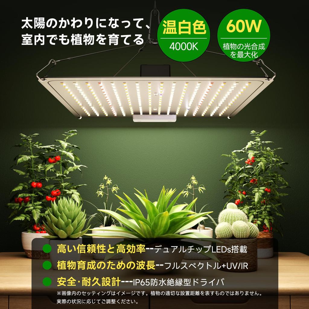 Plant Growth Light LED 60W Panel Heat Dissipation Warm White 256 LED Full Spectrum Long Life Quantum Lamp Indoor Cultivation Lamp Succulent