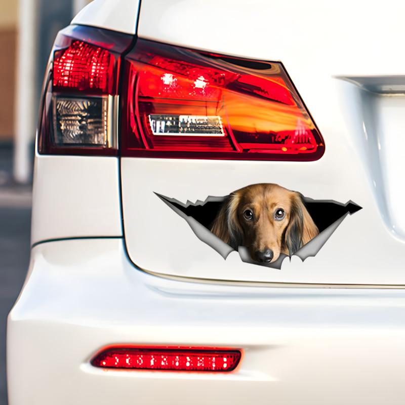 Car Stickers for Red Long-Haired Dachshund Hidden In Holes, Waterproof Irregularly Shaped Car Decoration Decals
