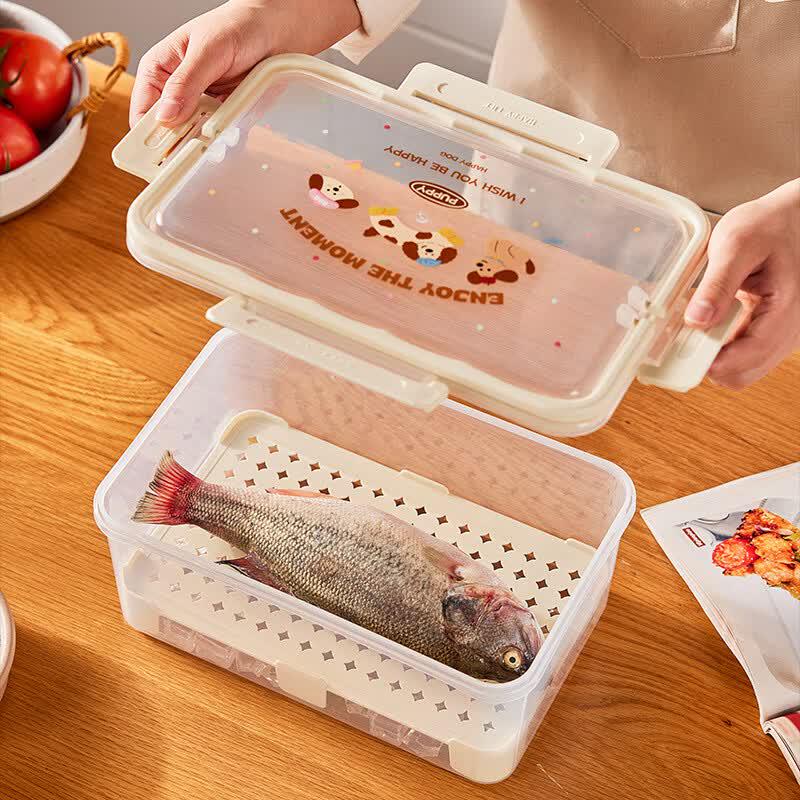 Набор из 5 контейнеров для хранения продуктов в холодильнике Youqi