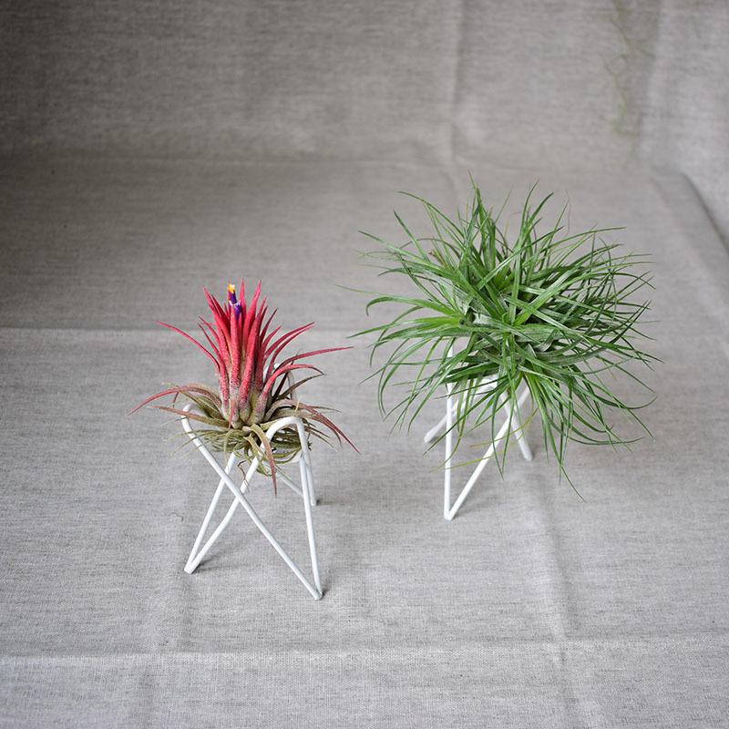 Iron Trident Desktop Flower Stand Creative Home and Office Décor