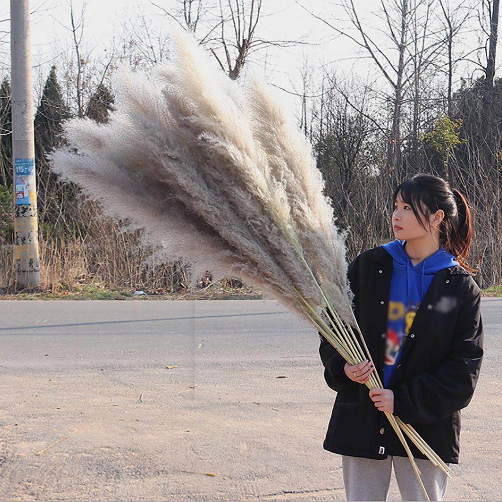 50 Pcs Dried Pampas Grass, Artificial Plant Reed Rabbittail Bouquet Home Decoration Boho Wedding Decoration