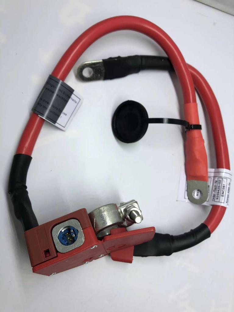 BMW F30/F31/F34/F36 Аккумуляторный кабель 61129259425