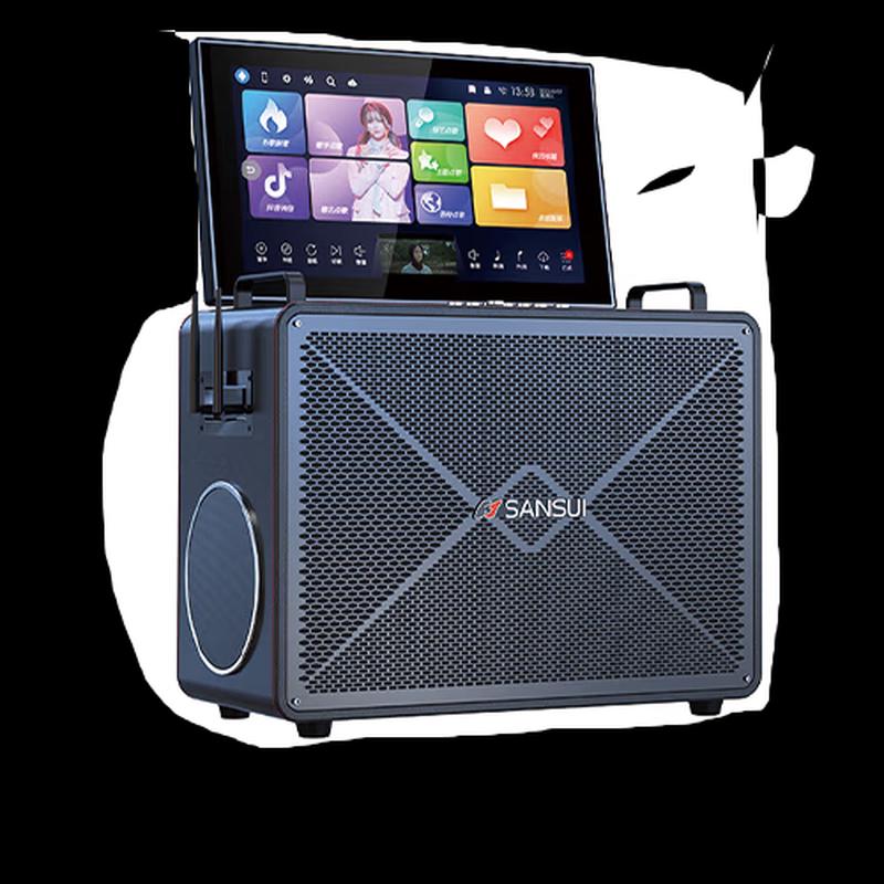 Sansui C1 Portable Home KTV Speaker System