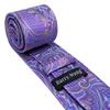Barry.Wang Men's Elegant Purple Tie Pocket Square Cufflinks Gift Box Set