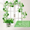 Easy Install Metal Plant Cage Fit for Home Gardening Creepers Climbing Garden Support Enhances Garden Plant Health