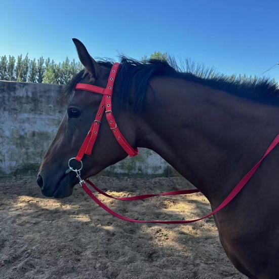 Недоуздок для лошади с регулируемым подбородком, плюшевый недоуздок, тренировочное оборудование для лошадей, конный спорт