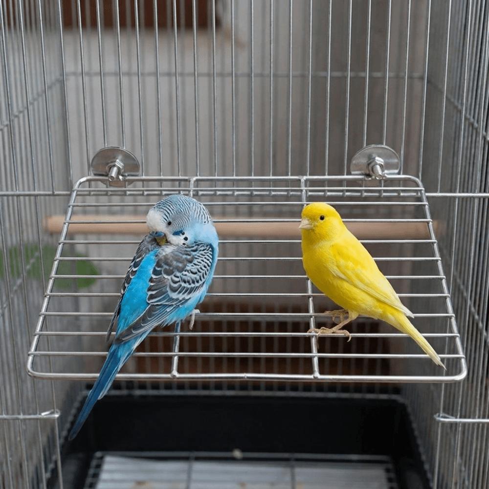 Moisture Proof Metal Grid Perch Stand Bird Cage Activity Platform Small Medium Birds