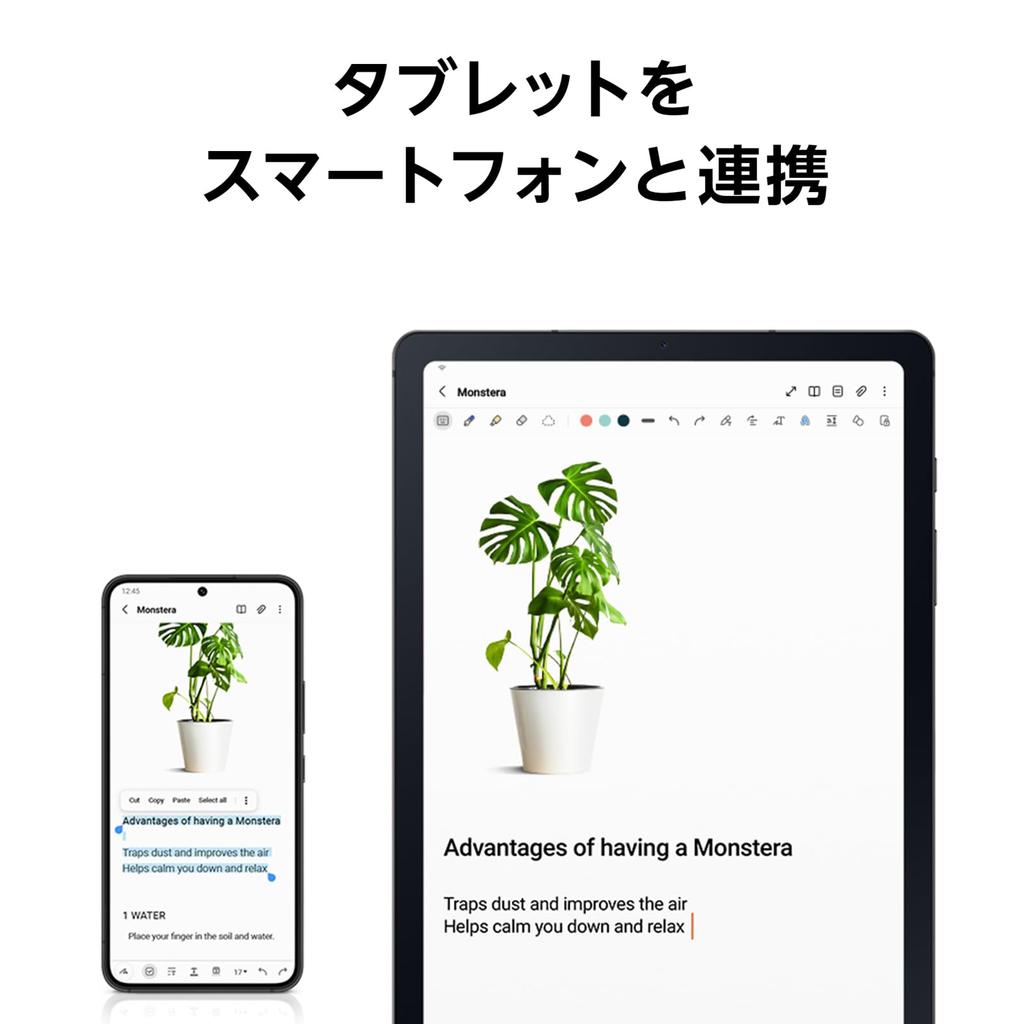 Планшет Galaxy Tab S6 Lite 2024, цвет «Оксфордский серый», оригинальный Samsung, выпущен в 2024 году, S Pen, легкий, 64 ГБ, Android, ЖК-дисплей (Модель Wi-Fi) 10,4-дюймовый