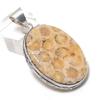 Ископаемый коралл драгоценный камень 925 стерлинговое серебро ювелирный кулон 2,05"