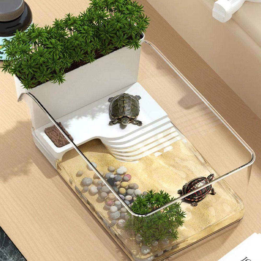 Ecological Landscaping Landscape Turtle Tank  for Pet Turtles Hermit Crabs Tortoise Adoption