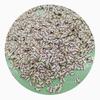 500g/Lot Polymer Clay Panda Slices Cute Cartoon Animal Sprinkles for Toys Nail Arts Decoration DIY Slime Crafts DIY Accessories