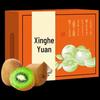Xu Xiang Kiwi Fruit