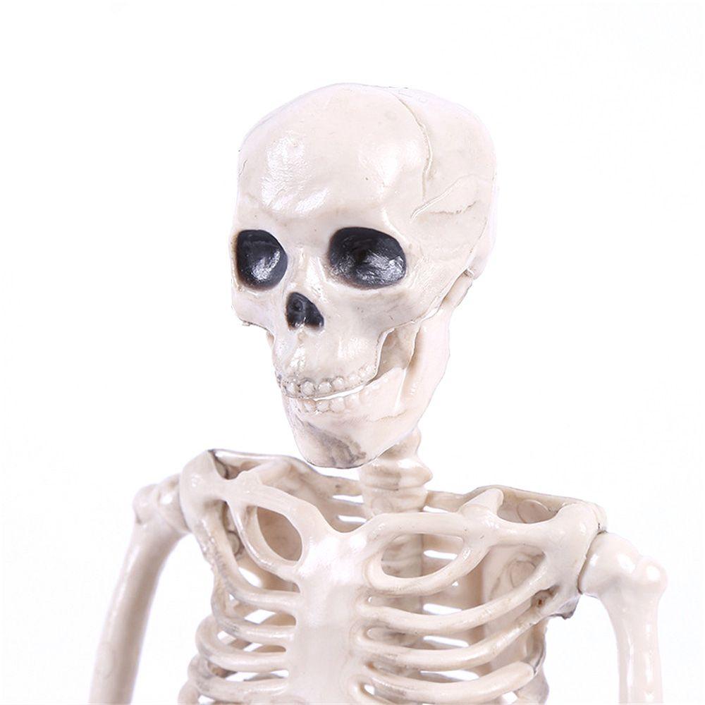 1 PC Party Supply Anatomical Photography Props Model Halloween Bone Human Skeleton