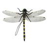 1/5/10Pcs Fake Dragonfly Decoration Weather-resistant Fly Repellent Simulated Dragonfly Model Indoor Outdoor Garden 3D Dragonfly Ornament