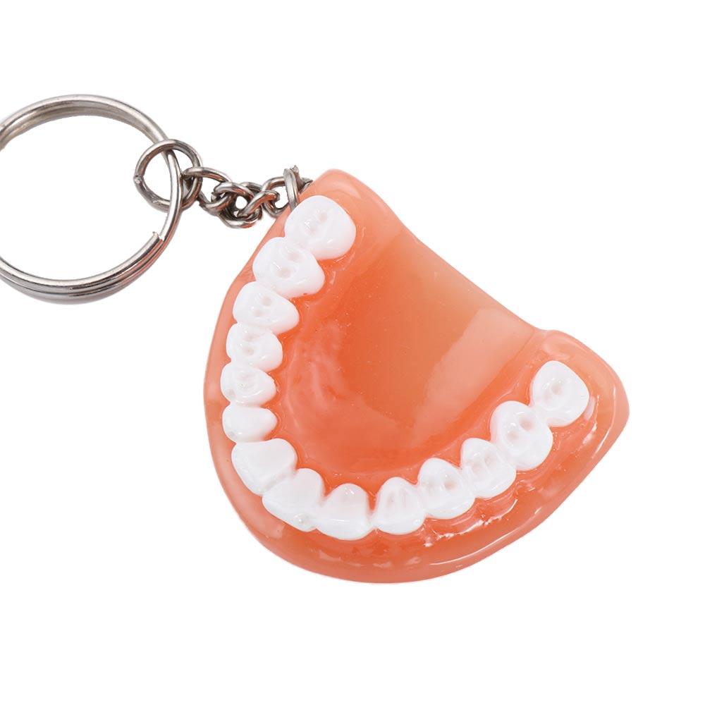 Gift Teeth Shape Resin Upper Jaw Teeth Pendant Tooth Key Chain Denture Key Chain Teeth Keyring